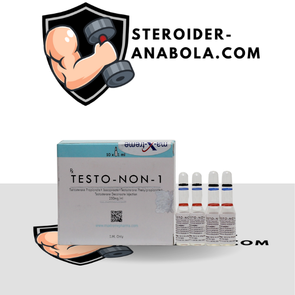 Testo-Non-1